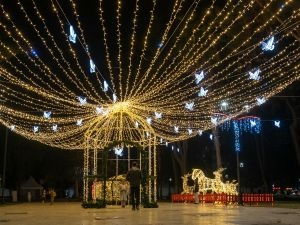 Weather-Resistant Holiday Lighting for Texas Homes Astoria Lighting Co - The Woodlands Weather-Resistant Holiday Lighting for Texas Homes