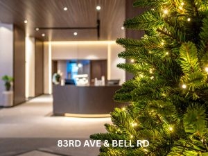 Year-Round Outdoor Lighting Solutions in The Woodlands Astoria Lighting Co - The Woodlands Year-Round Outdoor Lighting Solutions in The Woodlands